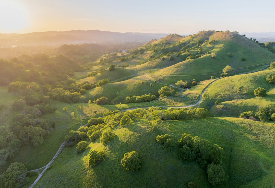 Winding path through green hills at sunrise symbolizing a personal growth journey